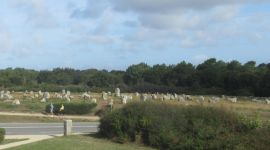 carnac sainte anne dauray 5